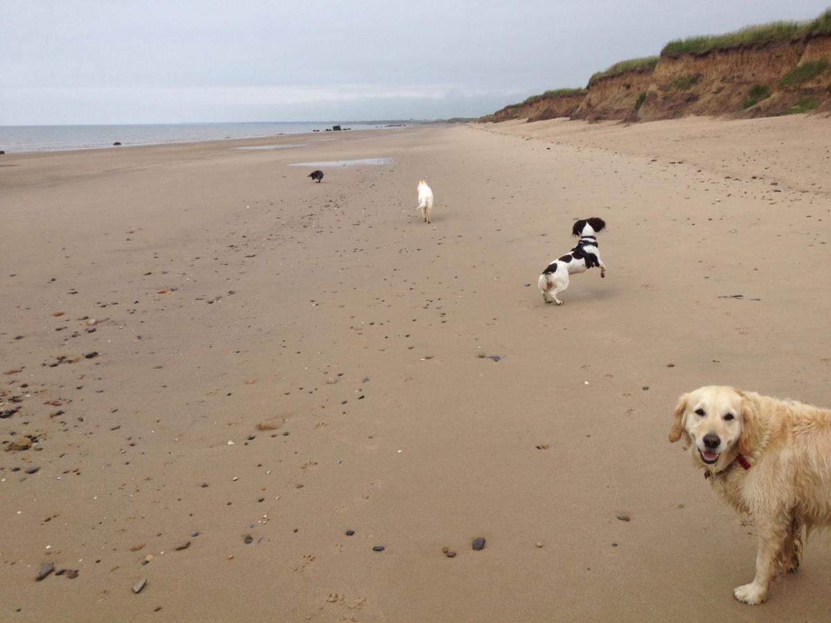 Luxury Dog Friendly Cottage Sleeps 4 Bridlington Buitenkant foto